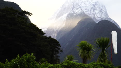 Landscape-with-Cabbage-trees-on-windy-day,-Mitre-Peak-in-background