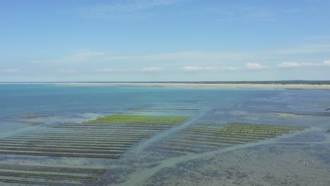 criaderos de ostras expuestos en aguas poco profundas del mar azul con marea baja