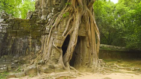 ancient abandoned ruins of ta som temple in the angkor wat complex, siem reap, cambodia