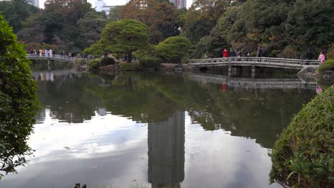 beautifully landscaped garden surrounding pond in shinjuku gyoen, tokyo japan - wide shot