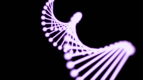 animación 2d de adn brillante compuesto de partículas en un fondo negro. 60fps. el objeto está en el centro de la pantalla y gira irregularmente.