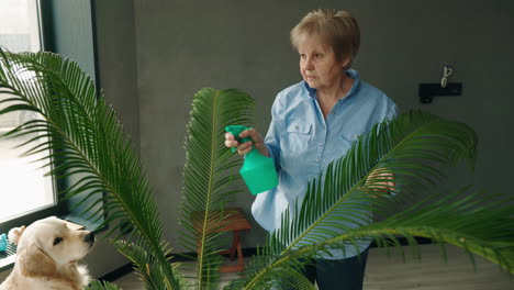 senior woman watering a plant with a dog in the room
