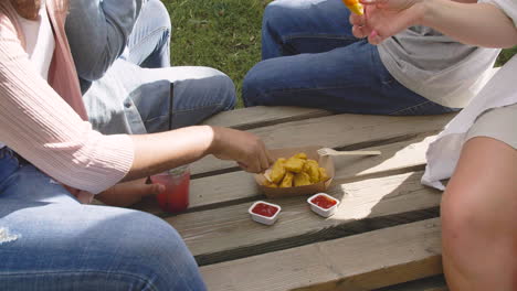 group of multiethnic friends spending time together, eating delicious nuggets and drinking refreshing juice, sitting in a wooden bench in a park