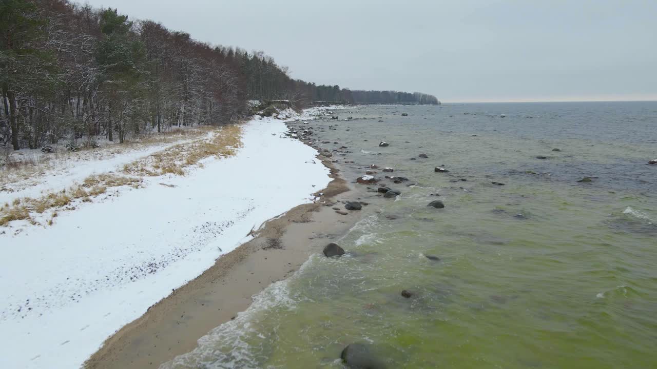 Drone moving forward along the snow covered beach shore with forest. Cold tidal waves reach on a beautiful empty sandy and snowy shoreline. Drone flying over Suurupi winter seaside, Estonian coastline