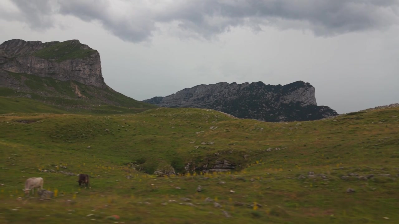 Naturskjønn utsikt over tåkete, bølgende grønne åser og tåkebelagte fjell i Durmitor nasjonalpark, Montenegro