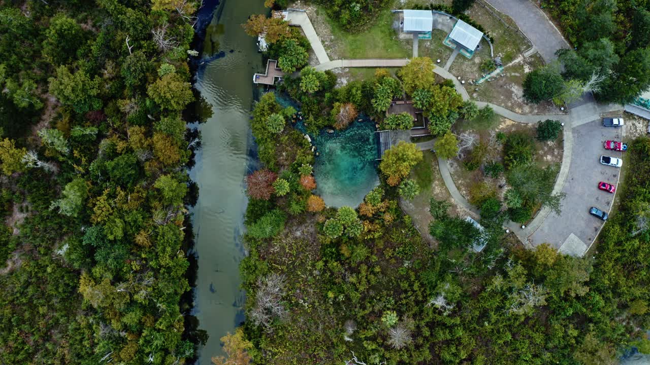 Crystal-blue spring connected to a forest river near Pitt and Sylvan Springs, Florida, bordered by trees, walkways, and calm reflective water
