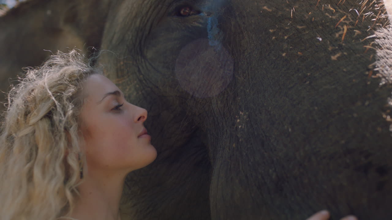 naturaleza mujer tocando elefante acariciando compañero animal disfrutando de la amistad 4k