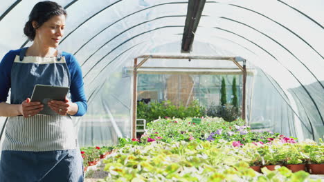 mature woman working in garden center greenhouse holding digital tablet and checking plants