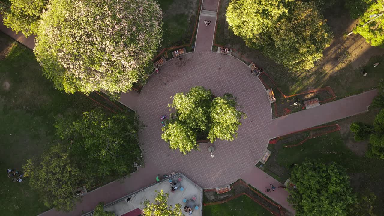 en el centro del parque de árboles en la ciudad de buenos aires, toma aérea