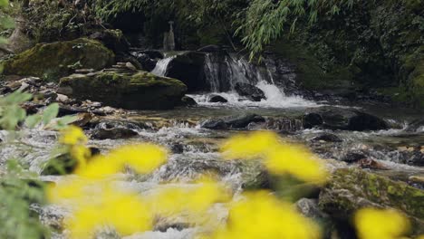 close up of rocky river flowing water in the himalayas in nepal, himalayas river scenery and small stream landscape, close up detail shot of river water flowing on a nepal trekking hiking trip