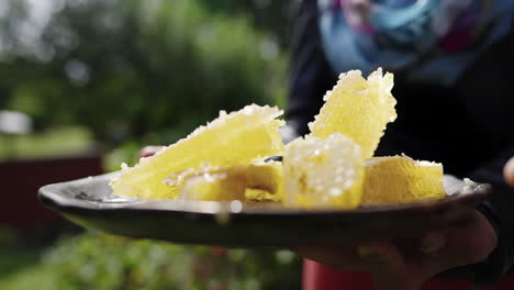 slices-pieces of golden fresh natural honeycomb on plate hold by farmer, organic bio honey harvest in beekeeping farm, apiculture product-production, hand taking a slice