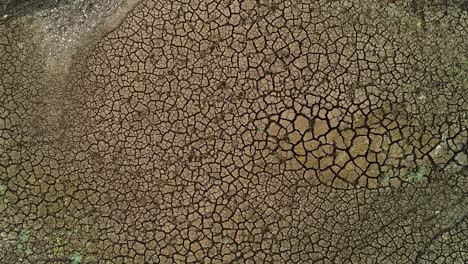 dried-up cracked earth