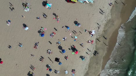 crowded beach and the sea - aerial top down