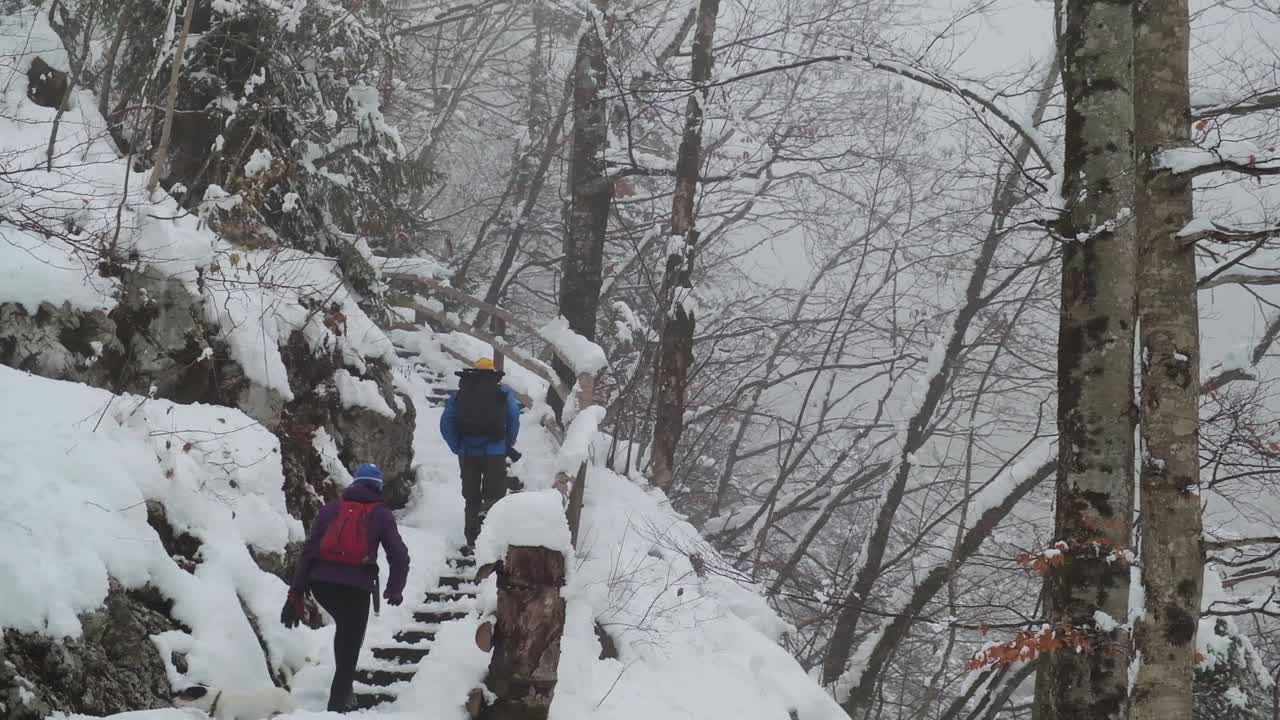 bohinj와 triglav 국립 공원의 아름다운 겨울날