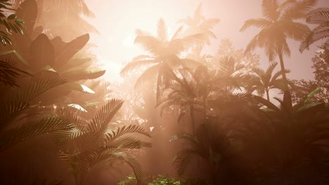 Sunset-Beams-through-Palm-Trees