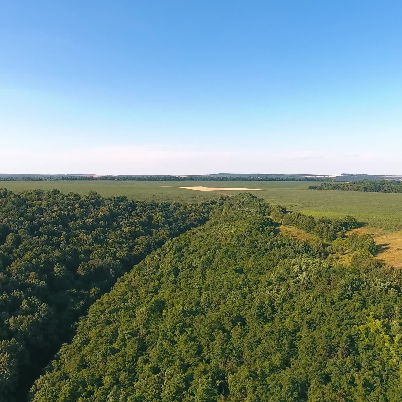 Rural landscape with bird eye view