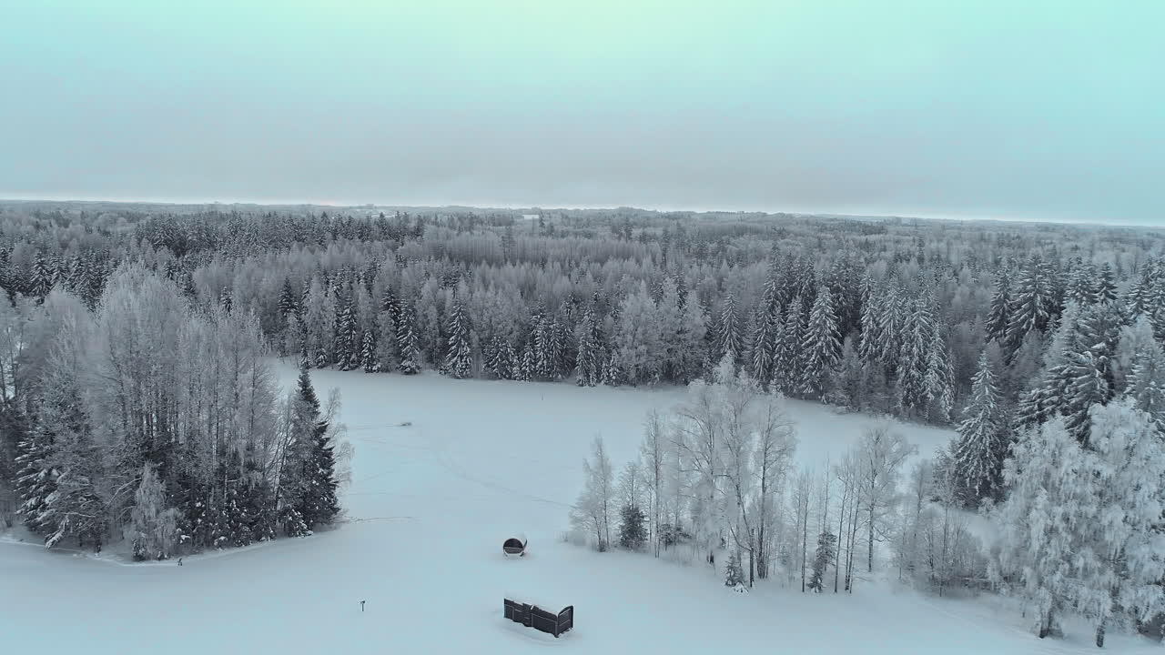 Kjørende droneopptak over snødekte furutretopper i dagslys.