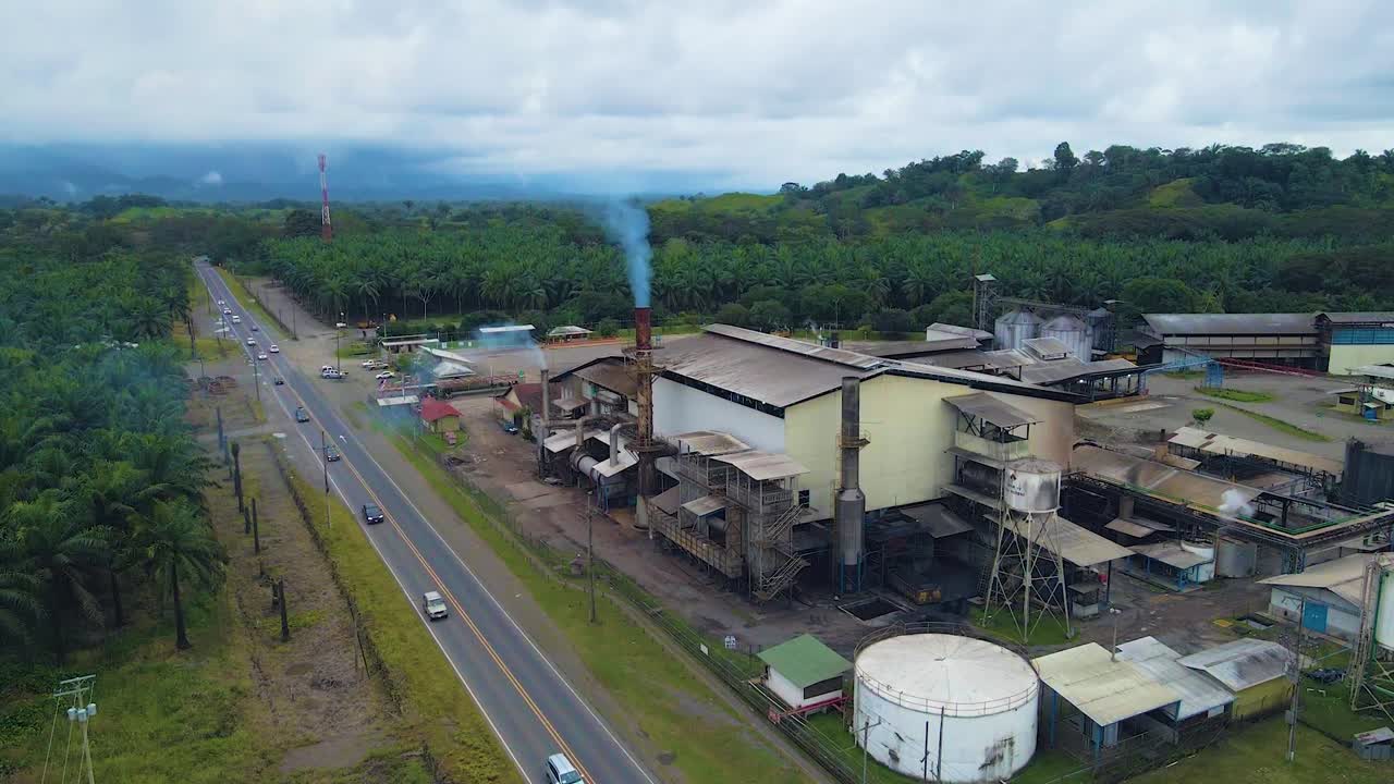 drone aéreo filmado de cima de uma plantação de palmeiras, com a chaminé fumegante da fábrica de processamento e a estrada próxima cheia de veículos altamente poluentes