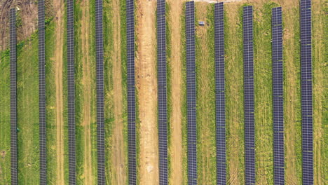 central eléctrica de paneles solares aérea de arriba hacia abajo en el campo de la granja durante un día soleado