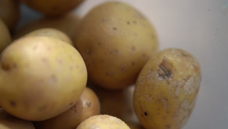 Fresh-Raw-Potatoes-In-A-Bowl