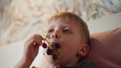 cute blond boy lying on pink pillow eating fresh black currant from branch looking focused and content natural light cozy atmosphere colorful background