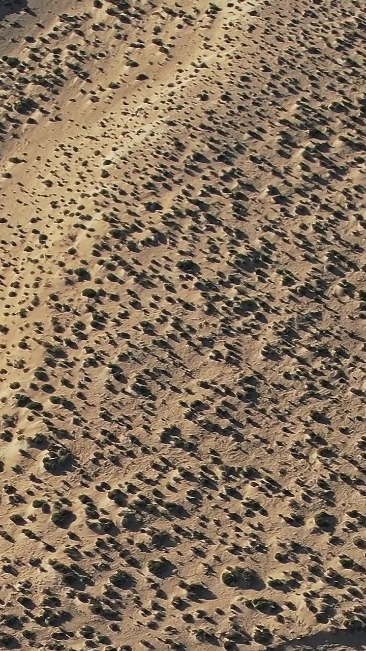 Aerial view of desert landscape in Fuerteventura, Spain during daylight