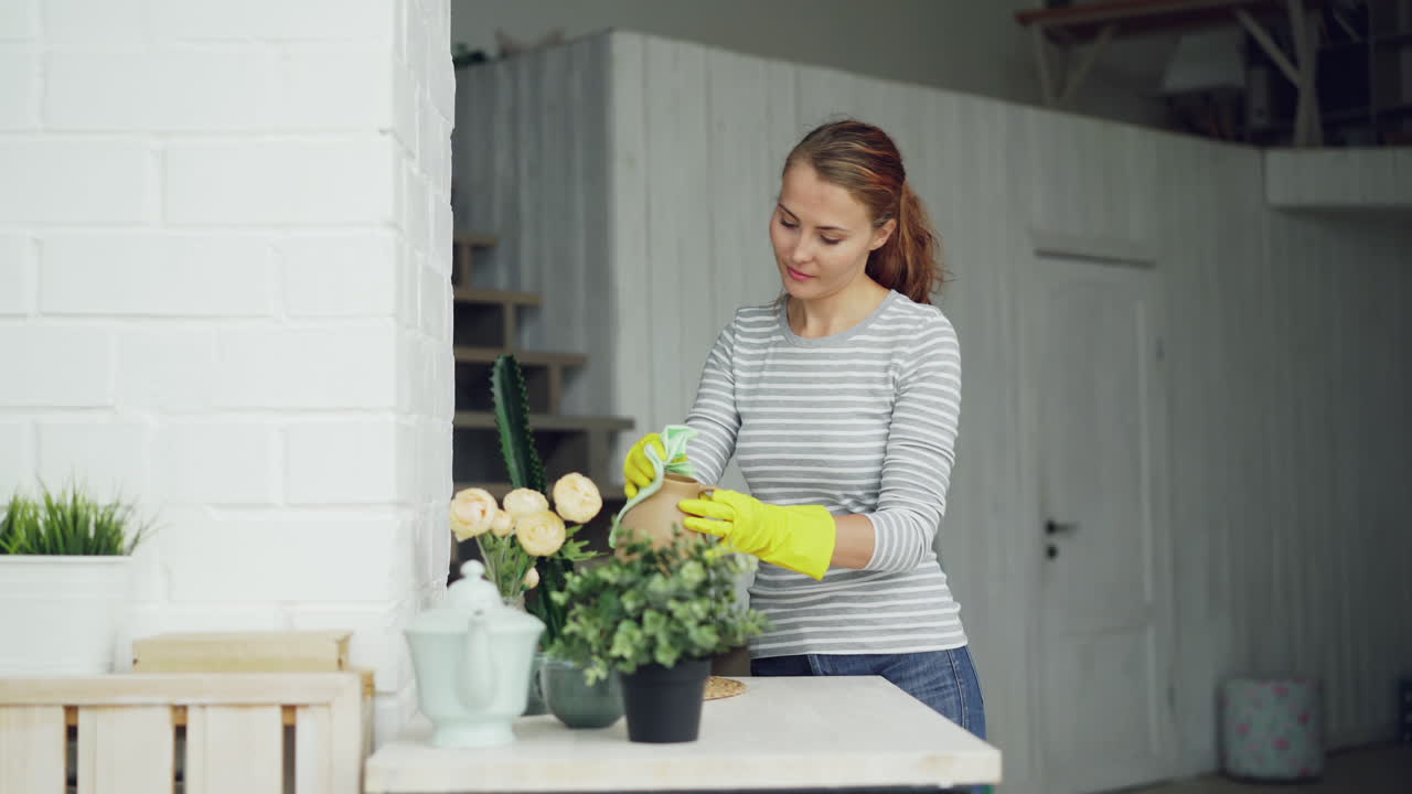 Woman Cleaning Home Decor