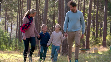 happy family walking in the countryside, slow motion