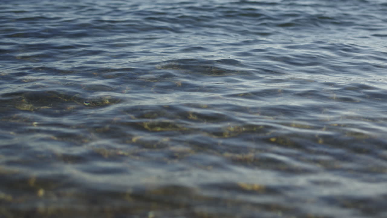 바위 위의 은 물