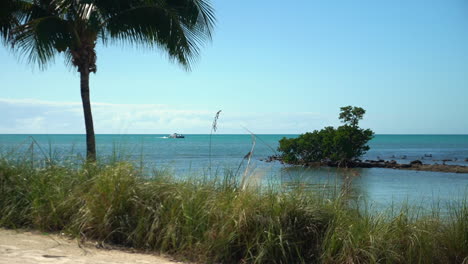 Motores-De-Botes-De-Pontones-Detrás-De-Pastos-De-Playa,-Palmeras-Y-Manglares-En-Los-Cayos-De-Florida