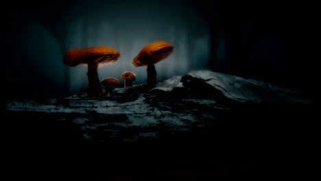 mystical forest / magical mushroom scene.