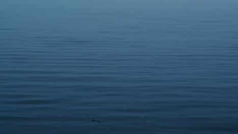 Blue-Sea-With-Calm-Water-Surface-On-Seaside-Town