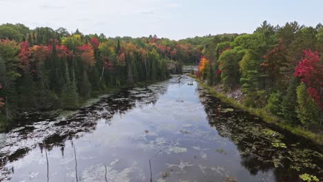 Halliburton-Highlands-Horseshoe-Lake-Scenic-Fall-Aerial-Over-Water-60FPS