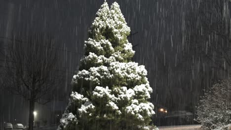 Starker-Schnee-Fällt-Auf-Einen-Grünen-Baum