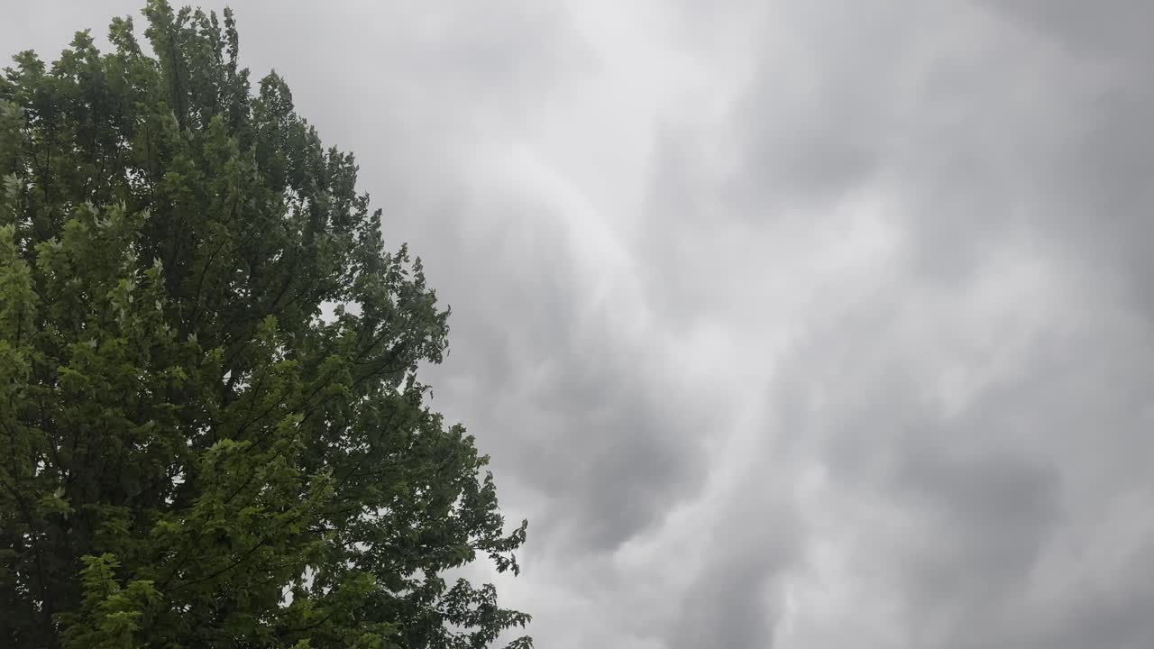 Storm Clouds Stream Past a Lone Tree