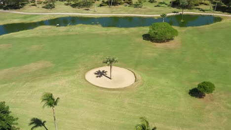 vista aérea de un campo de golf con una palmera en la trampa de arena