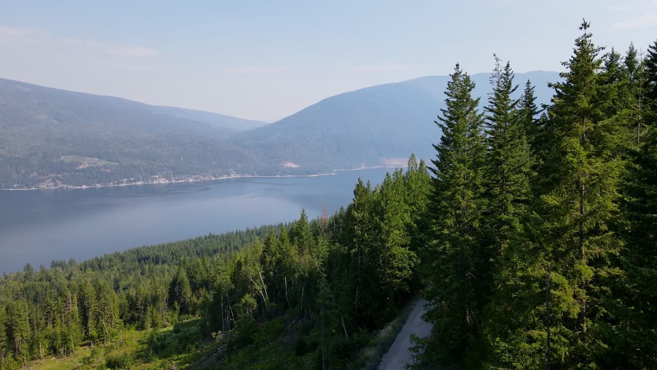 Rekaman udara terbang melintasi lanskap pegunungan yang tertutup oleh kanopi hutan konifer di atas Danau Shuswap selama musim kebakaran hutan.