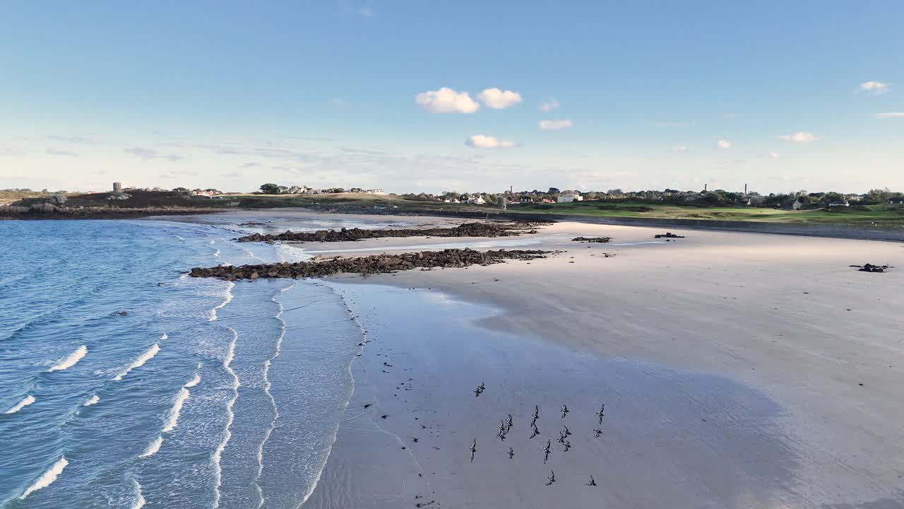 Baia di Lancresse, Guernsey: volo radente sul litorale della spiaggia di sabbia dorata con affioramenti rocciosi in un soleggiato tardo pomeriggio con onde calme e uccelli che volano.