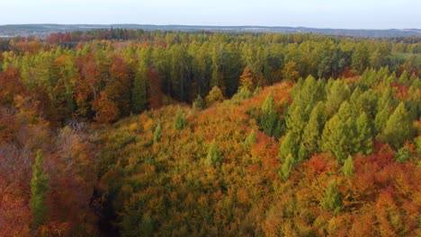 Vista-Aérea-De-Un-Bosque-Otoñal-Mixto-Con-Horizonte-Visible,-Soleado