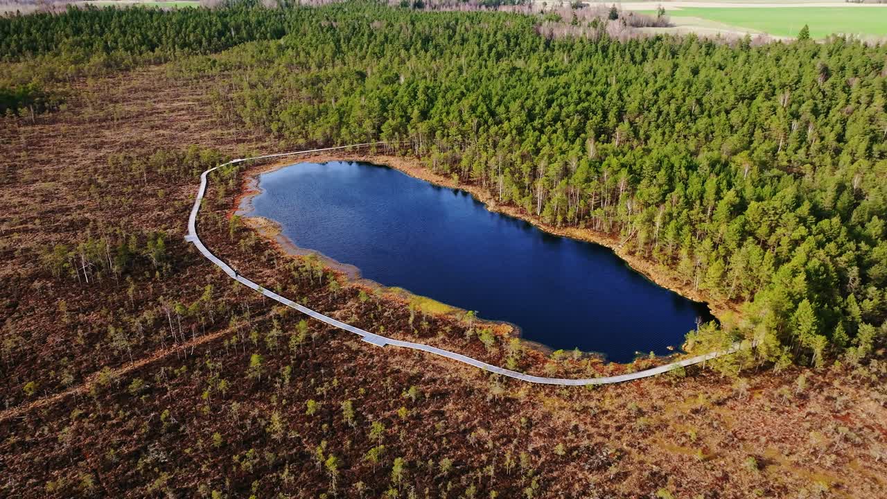 Latvian nature trail loops around deep blue lake hidden in calm forest bog