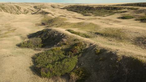 Deer-traversing-Saskatchewan-Landing-scenery-and-river,-long-drone-shot