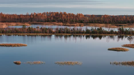 drone shot captures an overgrown lake during magical morning golden hour of autumn