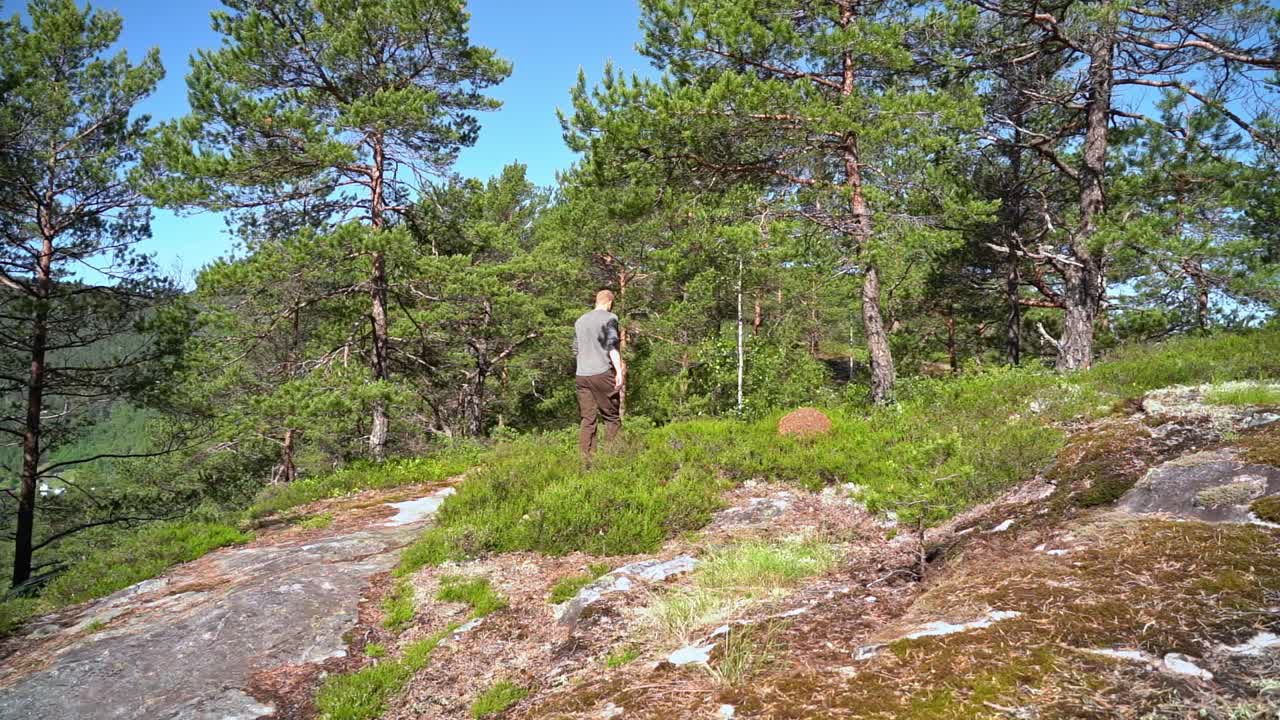 macho caucásico europeo entrando en el marco desde la izquierda y caminando por senderos a través de un exuberante bosque verde con fondo de cielo azul de verano - noruega