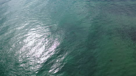aerial view tilting over shallow waters of lake tahoe, in partly sunny, ca, usa