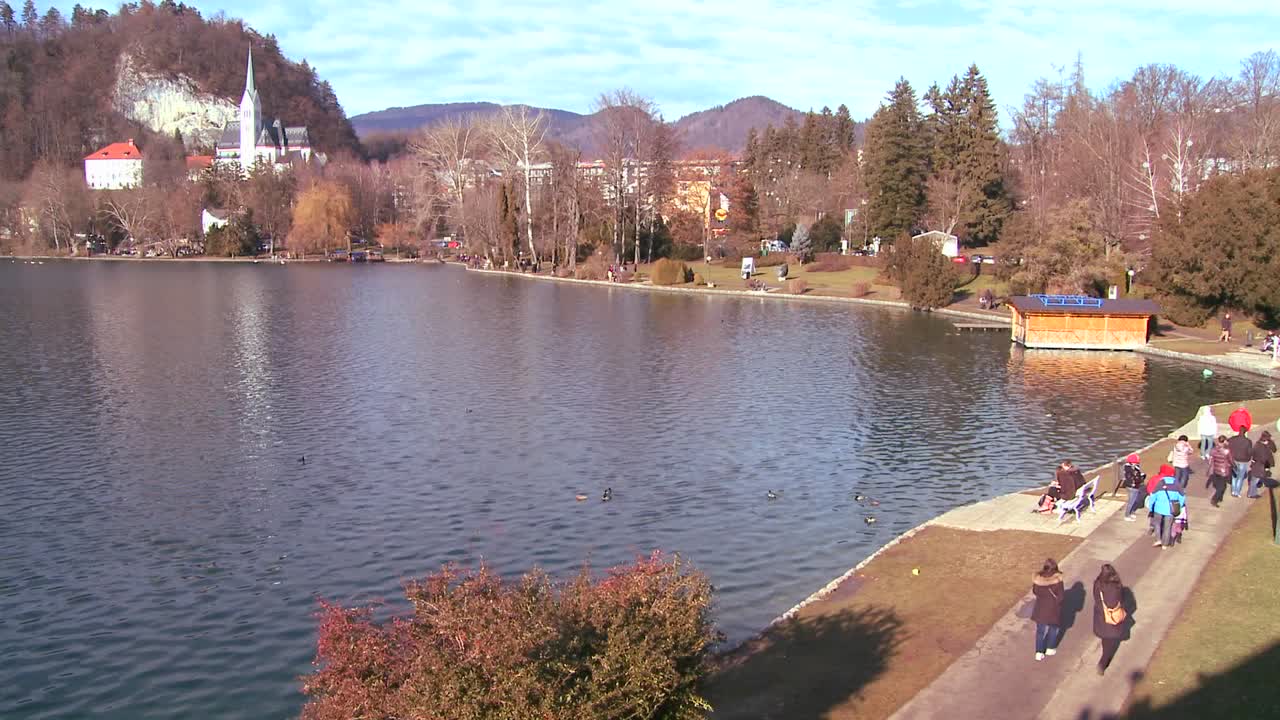 슬로베니아 블레드 호수 기슭의 화창한 날