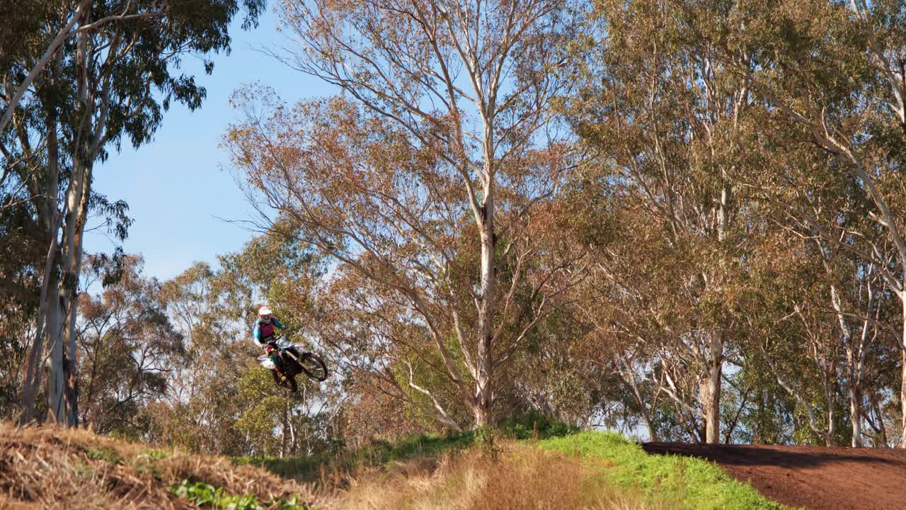 A motocross rider launches off a dirt ramp, soaring through the air in a sunlit eucalyptus forest. Wide shot, natural daylight, dynamic action