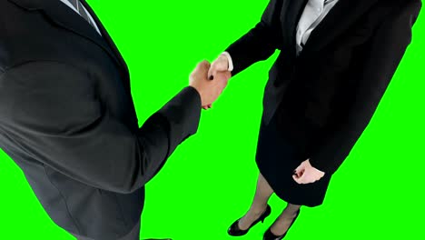 gente de negocios estrechando la mano.