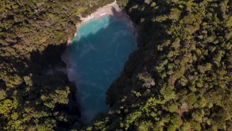 vista aérea del lago del cráter del infierno con un exuberante bosque verde en el valle de la grieta volcánica de waimangu, nueva zelanda