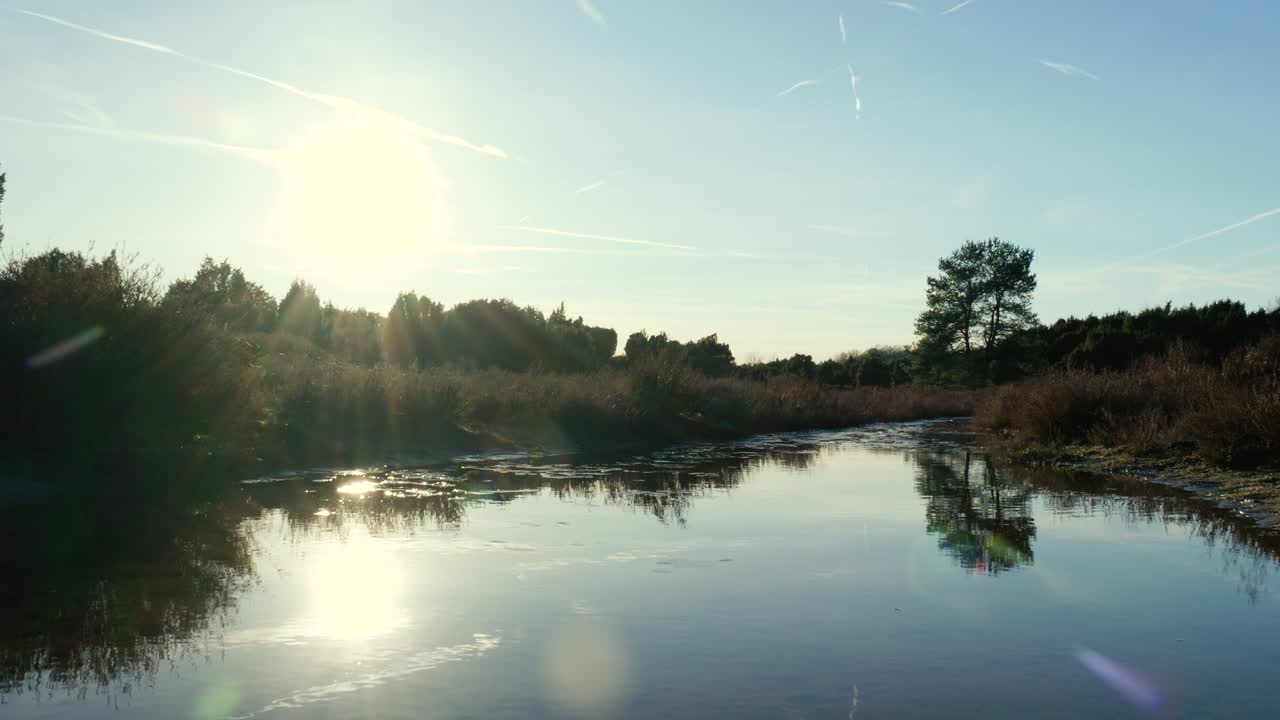 겨울 숲 을 가로질러 빛 으로 빛나는 강