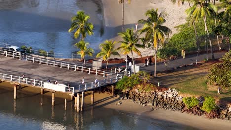 drone captures a scenic tropical marina with palm trees, pier, and clear waters under bright daylight